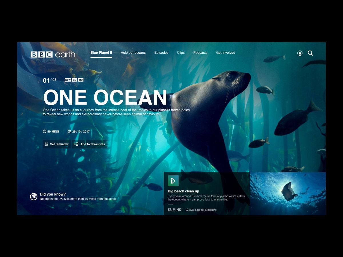 AquaVerse - API-driven aquarium website project by Abiha Eman Hashmi